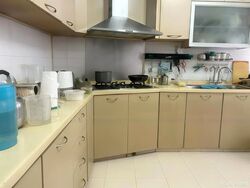 Blk 521 Pangshan Valley (Bukit Panjang), HDB Executive #482262151